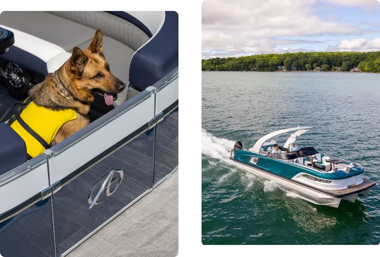 On the left, a German Shepherd wearing a yellow life jacket sits on a boat. On the right, a sleek blue and white motorboat with a canopy cruises on a calm lake, with lush greenery visible on the distant shore—makes one consider if it's time to buy pontoons for more relaxing adventures.