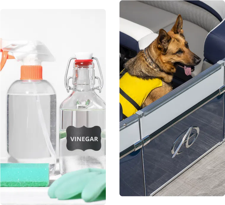 Left: A set of cleaning supplies, including spray bottles, a jar labeled "vinegar," a sponge, and green rubber gloves. Right: A dog wearing a yellow life jacket sitting on a boat with aluminum pontoons, looking out over the water.