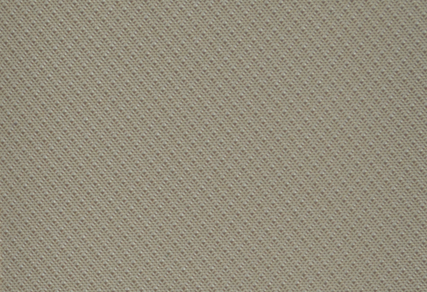 Close-up of a beige textile with a fine, even weave pattern. The fabric has a subtle texture, evenly distributed across the surface.